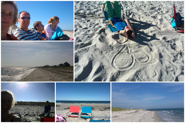 Seagull Beach